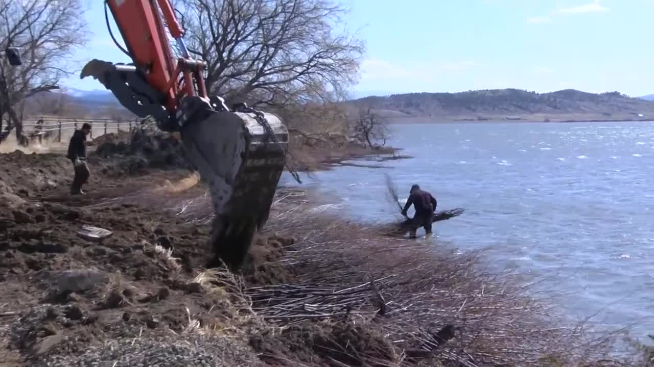 Landowner uses willows to prevent bank erosion - Vimarsana News