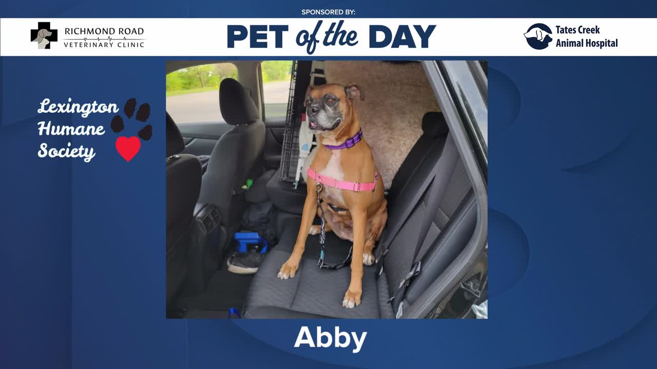 Poster image - 2023-09-22T122811.836.jpg