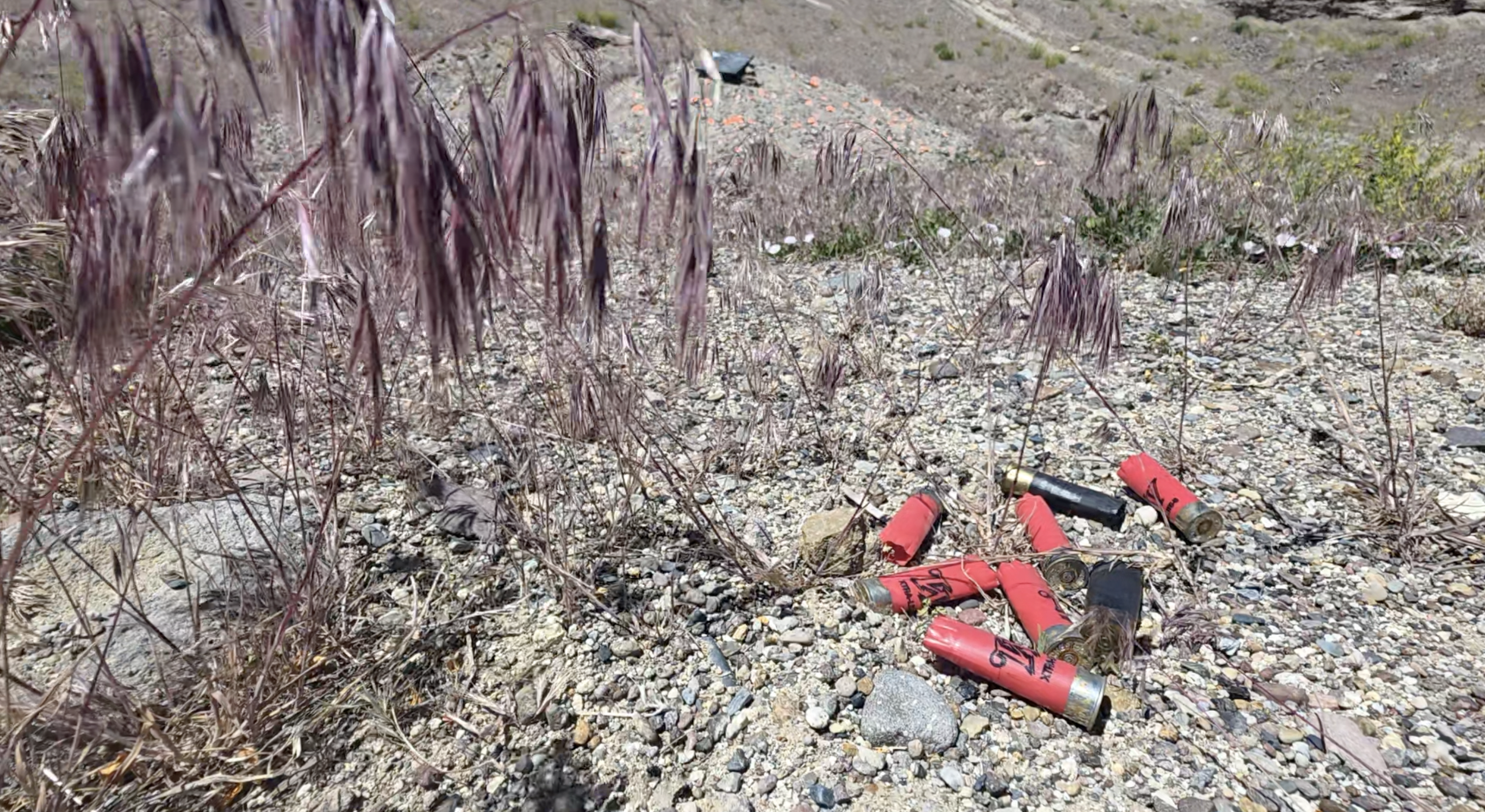 Officials warn shooters: clean up, watch for fire risk