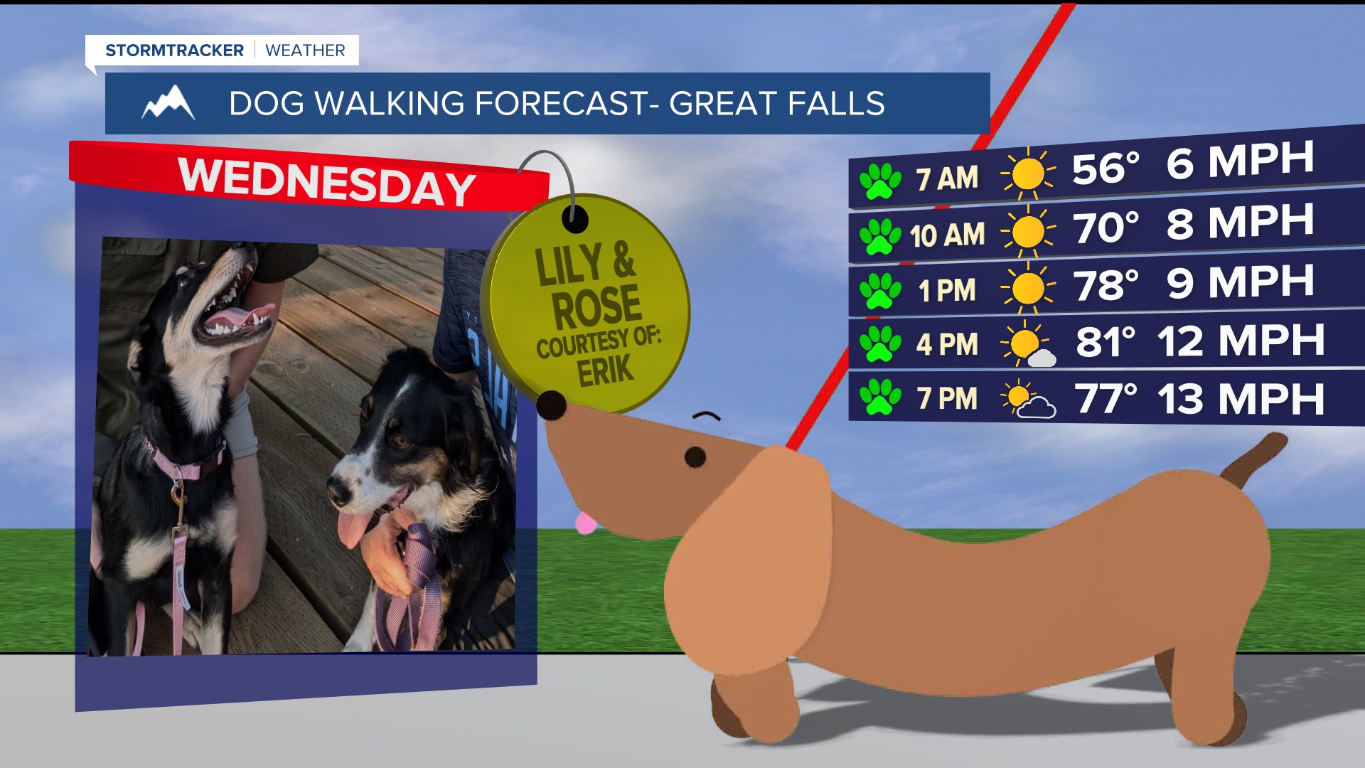 Meteorologist Erik Johnson will be starting up the "Dog Walking Forecast" on Montana This Morning next week - so we need photos of your fur-babies. 