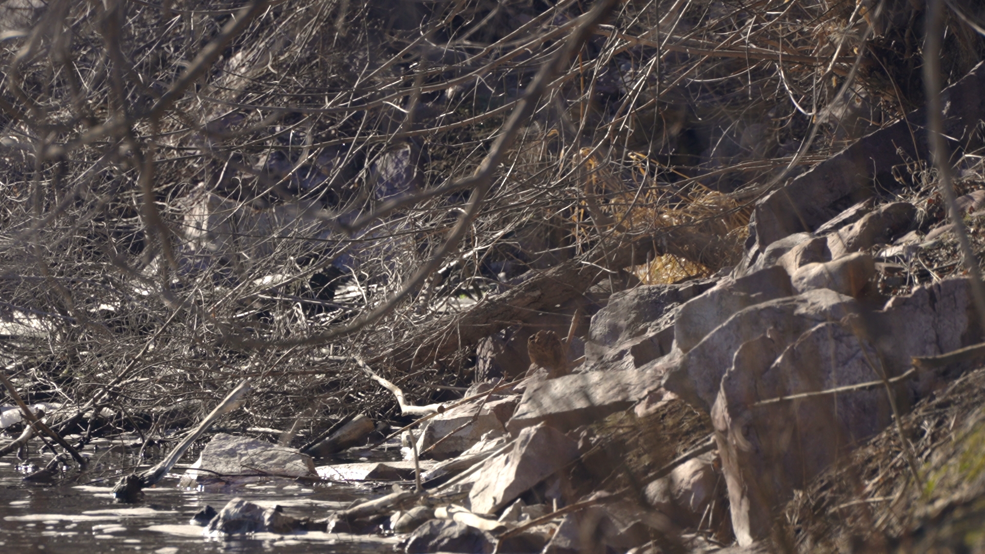 City of Missoula Wastewater Facility Outflow