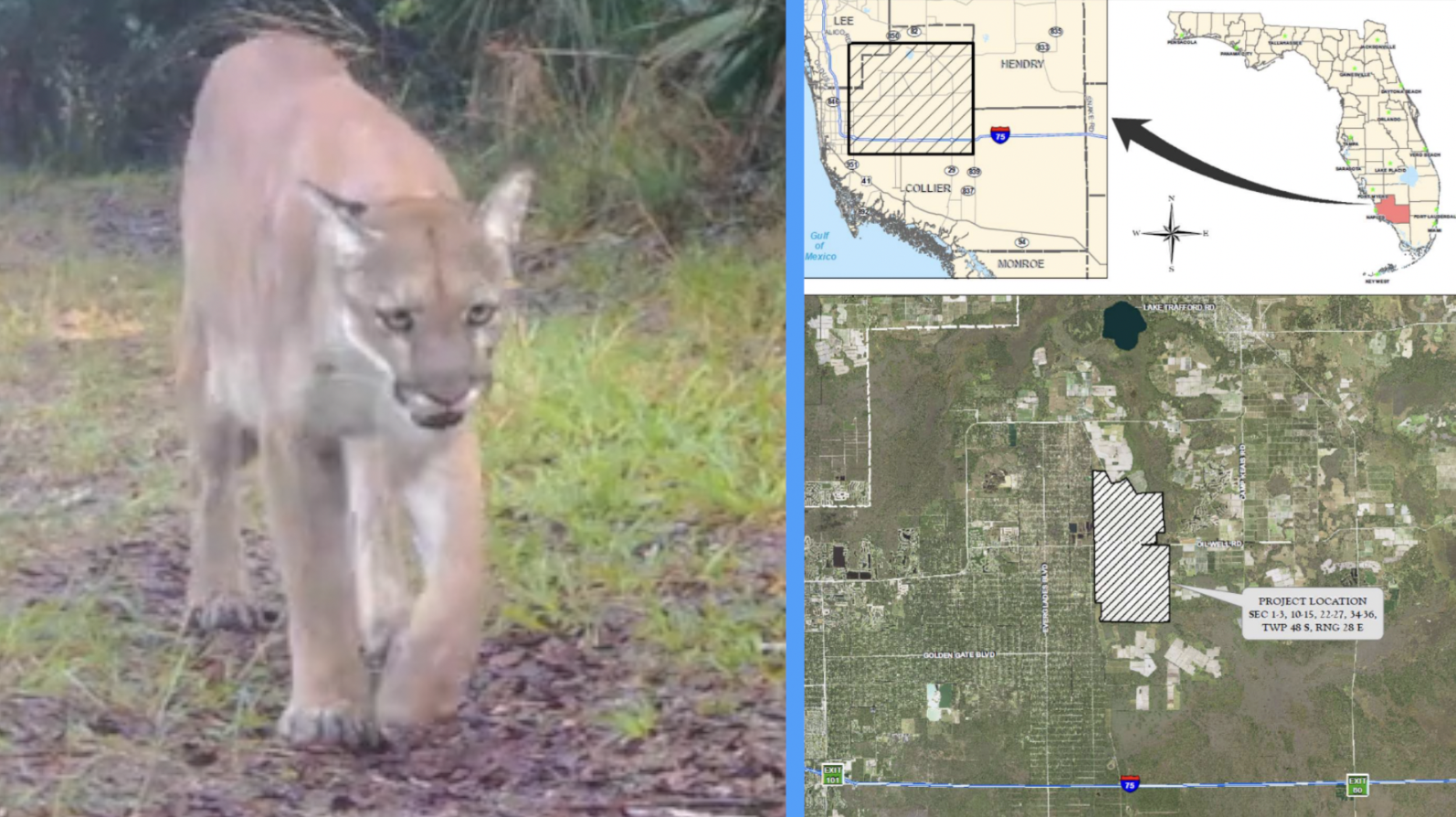 Collier County Rural Lands West