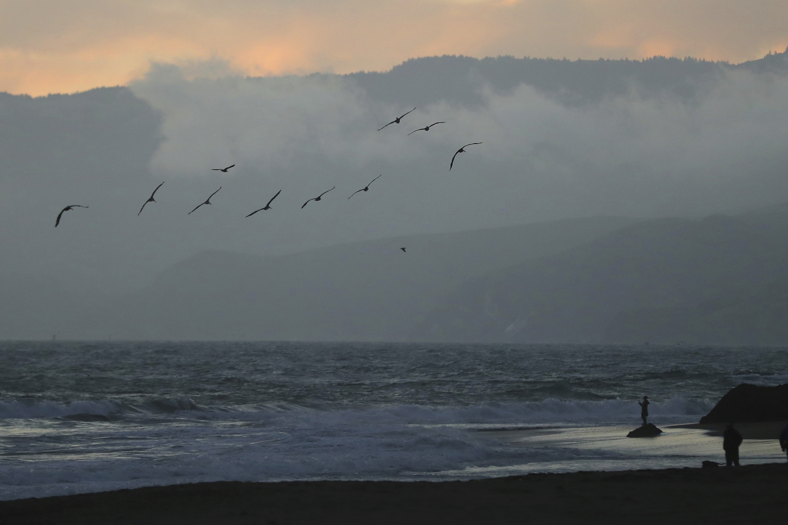 During a tsunami advisory triggered by an underwater earthquake off the coast of Russia, birds fly near a fisherman at Ocean Beach in San Francisco on Tuesday, July 29, 2025. 