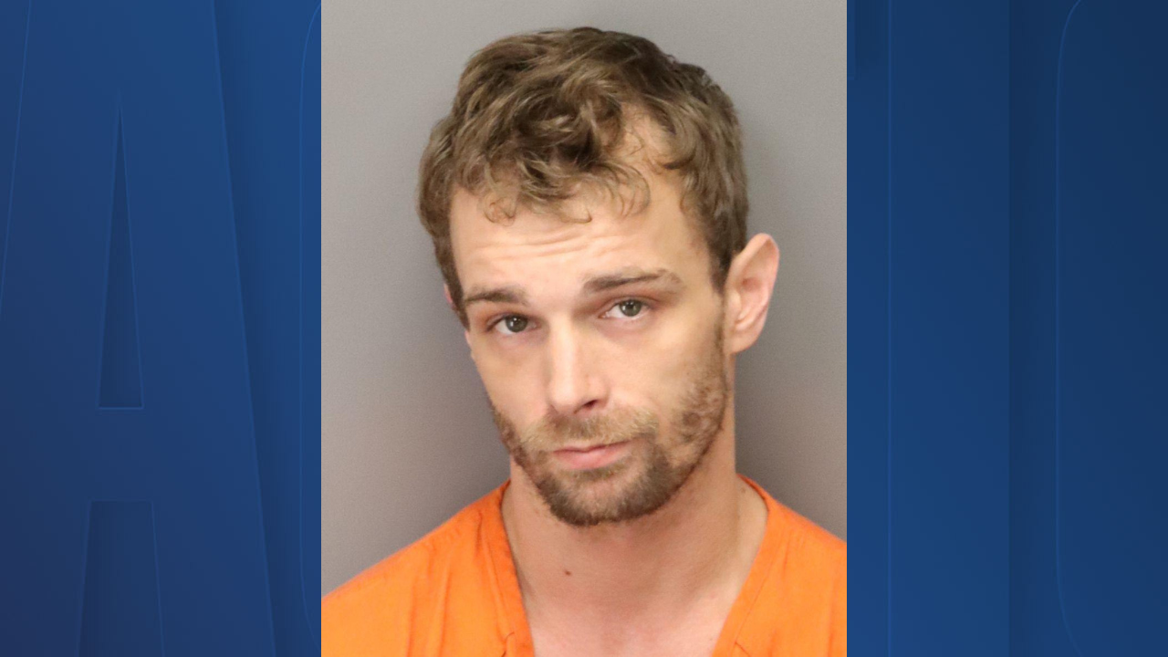 St. Petersburg man for molestation and sexual activity involving animals