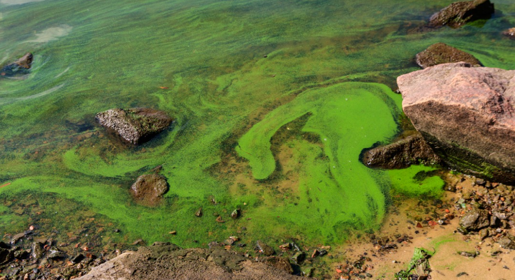 Screenshot 2025-08-21 121331.png