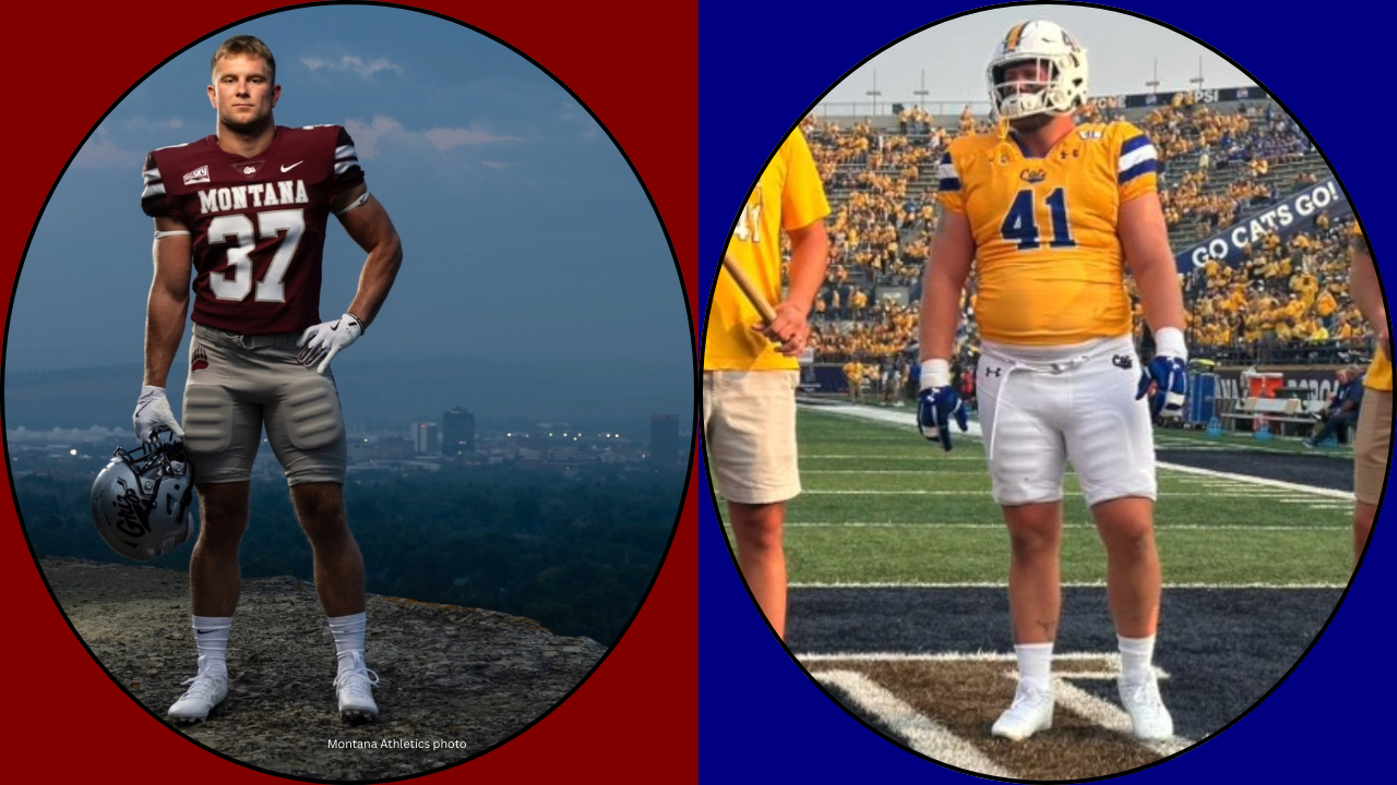 cat griz numbers photo.png