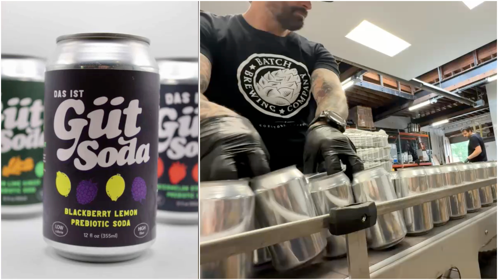 Gut Soda graphic