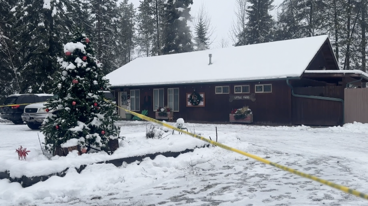 Ferndale shooting