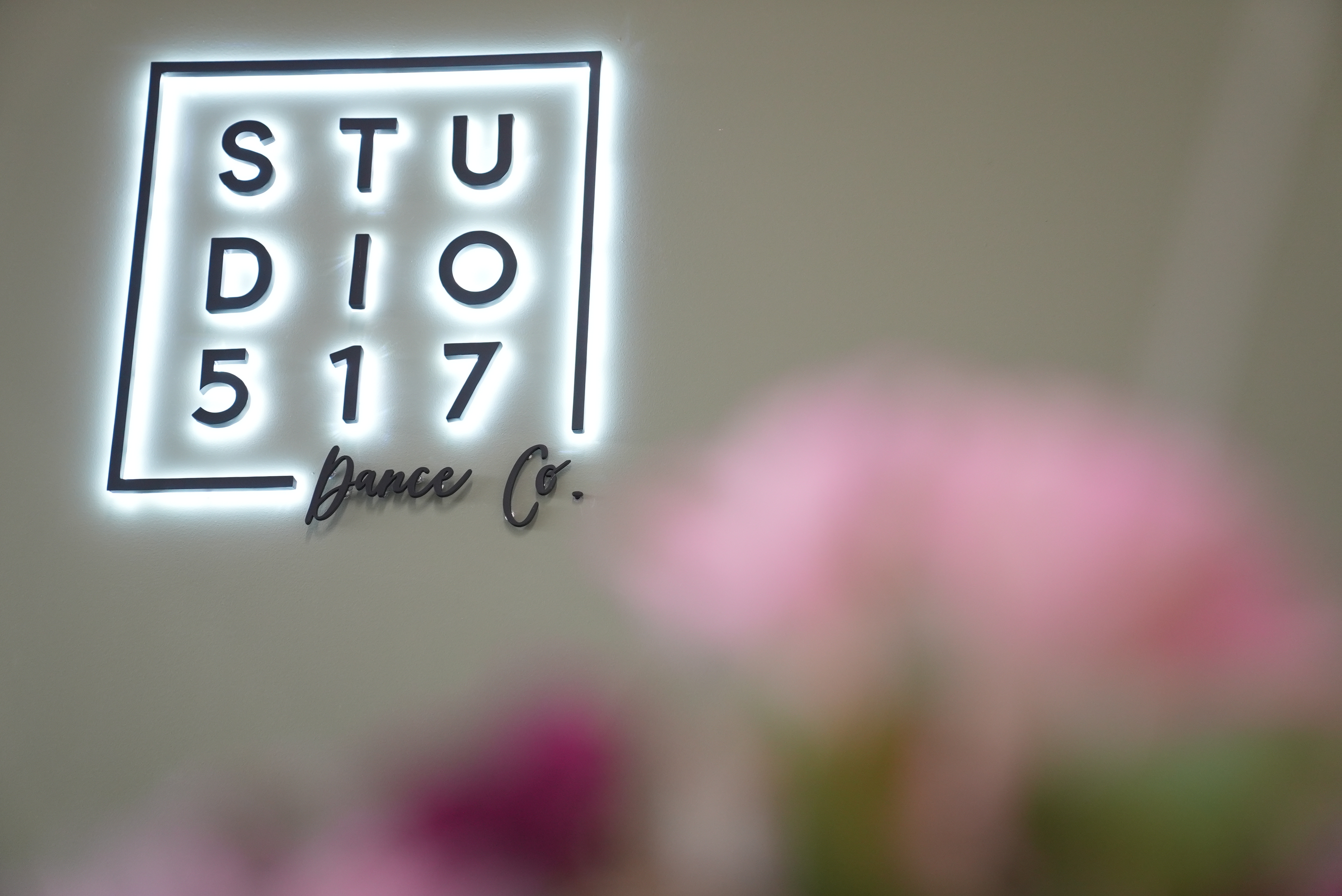 Studio 517 owner in DeWitt combines sports medicine and dance