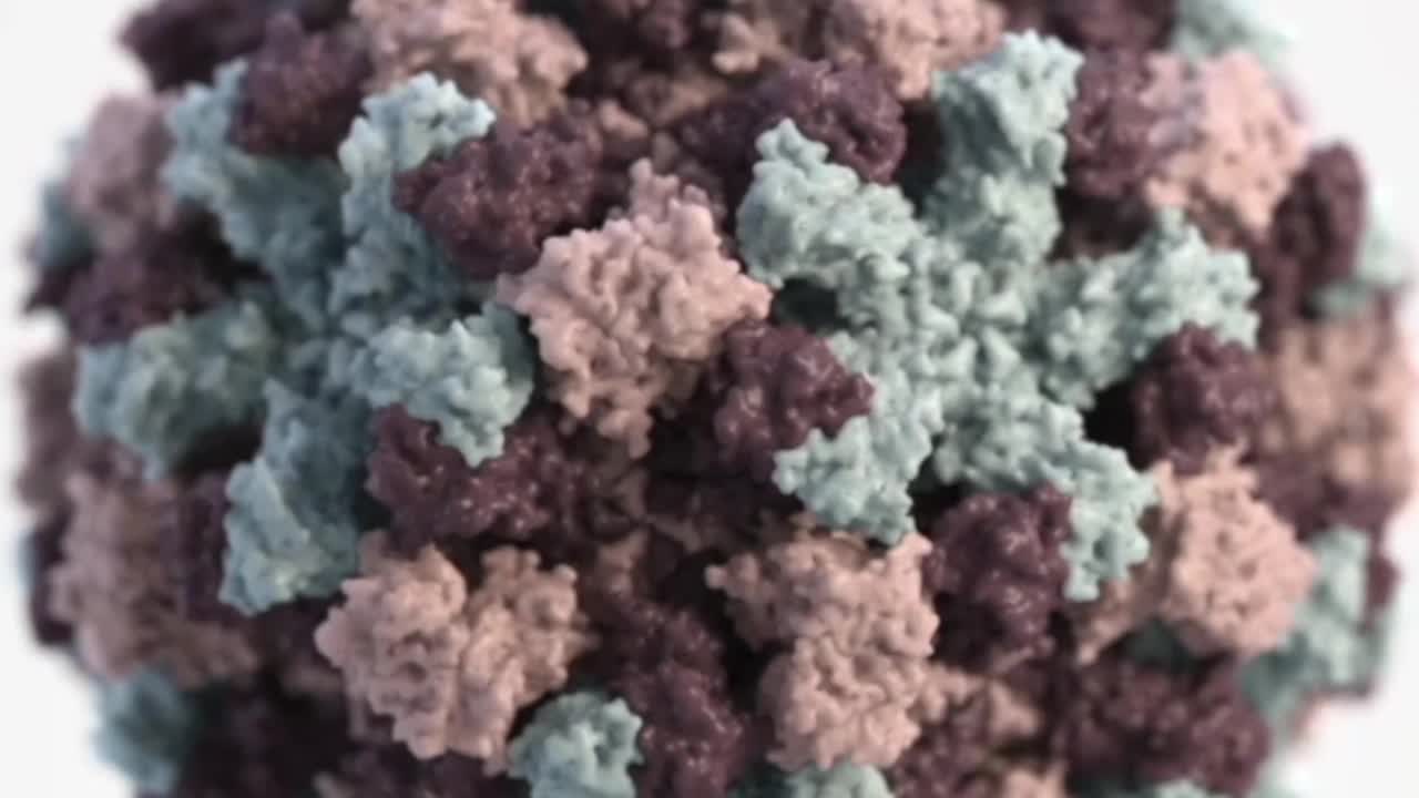 Microscopic "nasties". How to avoid food poisoning