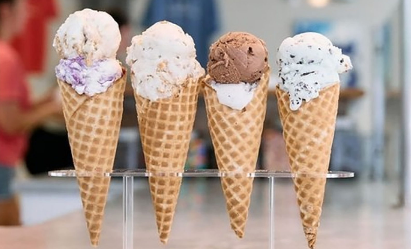 Blue Cow Ice Cream Co..png