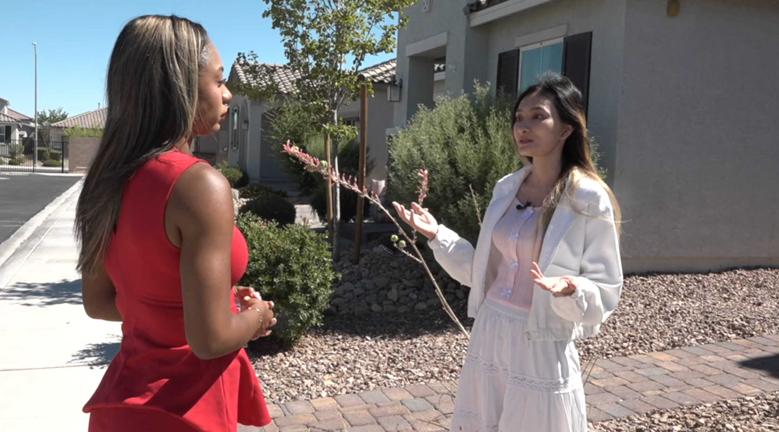 Early 4th of July fireworks terrify pets and disrupt neighbors, southwest homeowner shares