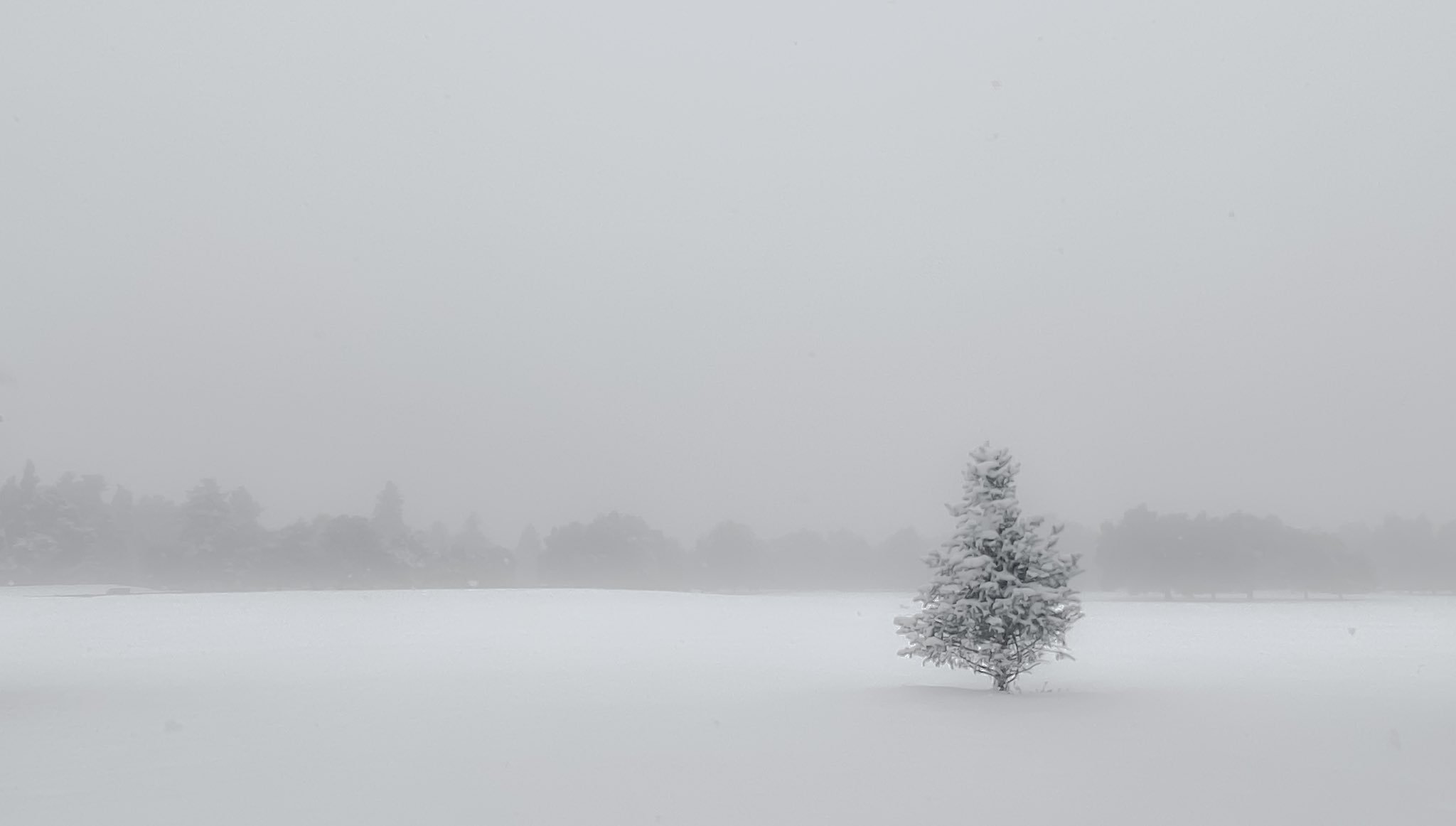 Cheesman park snow