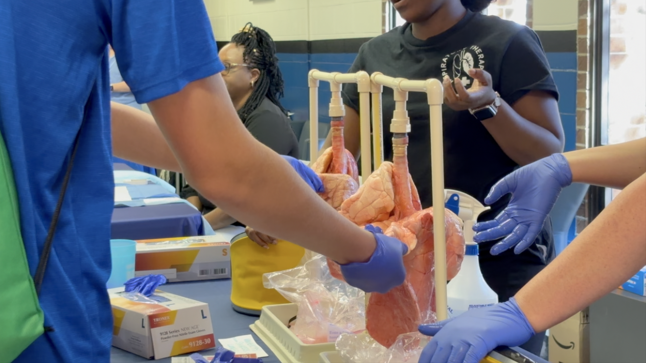 Worlds of Work is back at Tallahassee State College