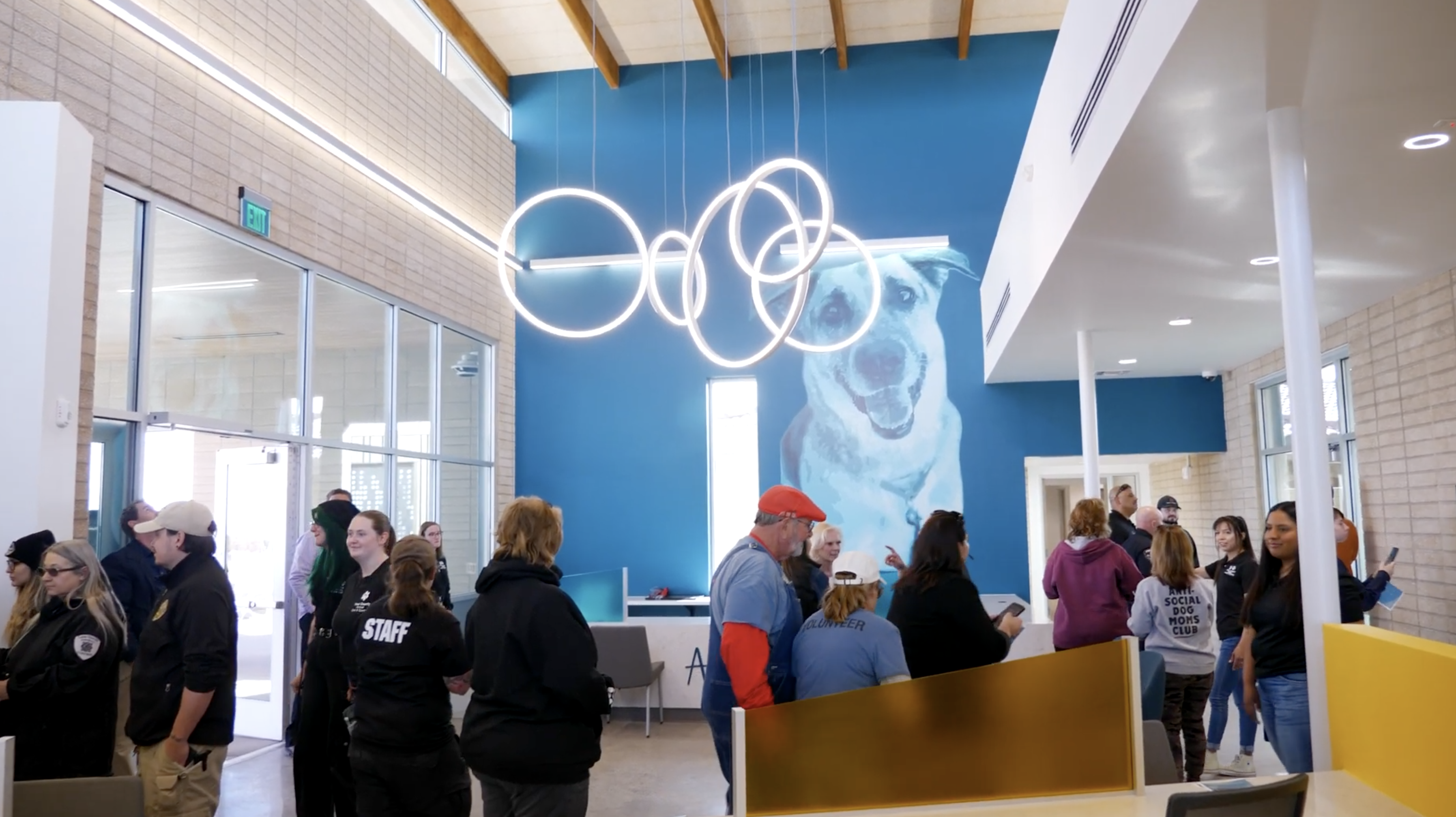 Pinal County Animal Shelter renovations 