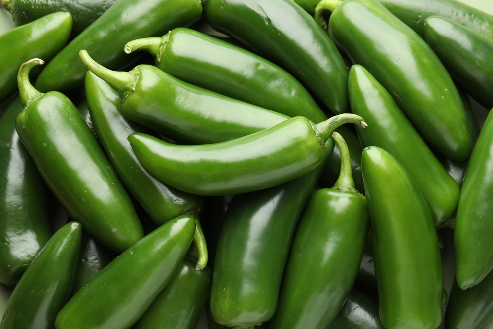 Many,Green,Jalapeno,Peppers,As,Background,,Closeup