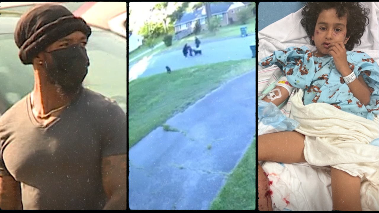 Glen Allen dog attack hearing.png