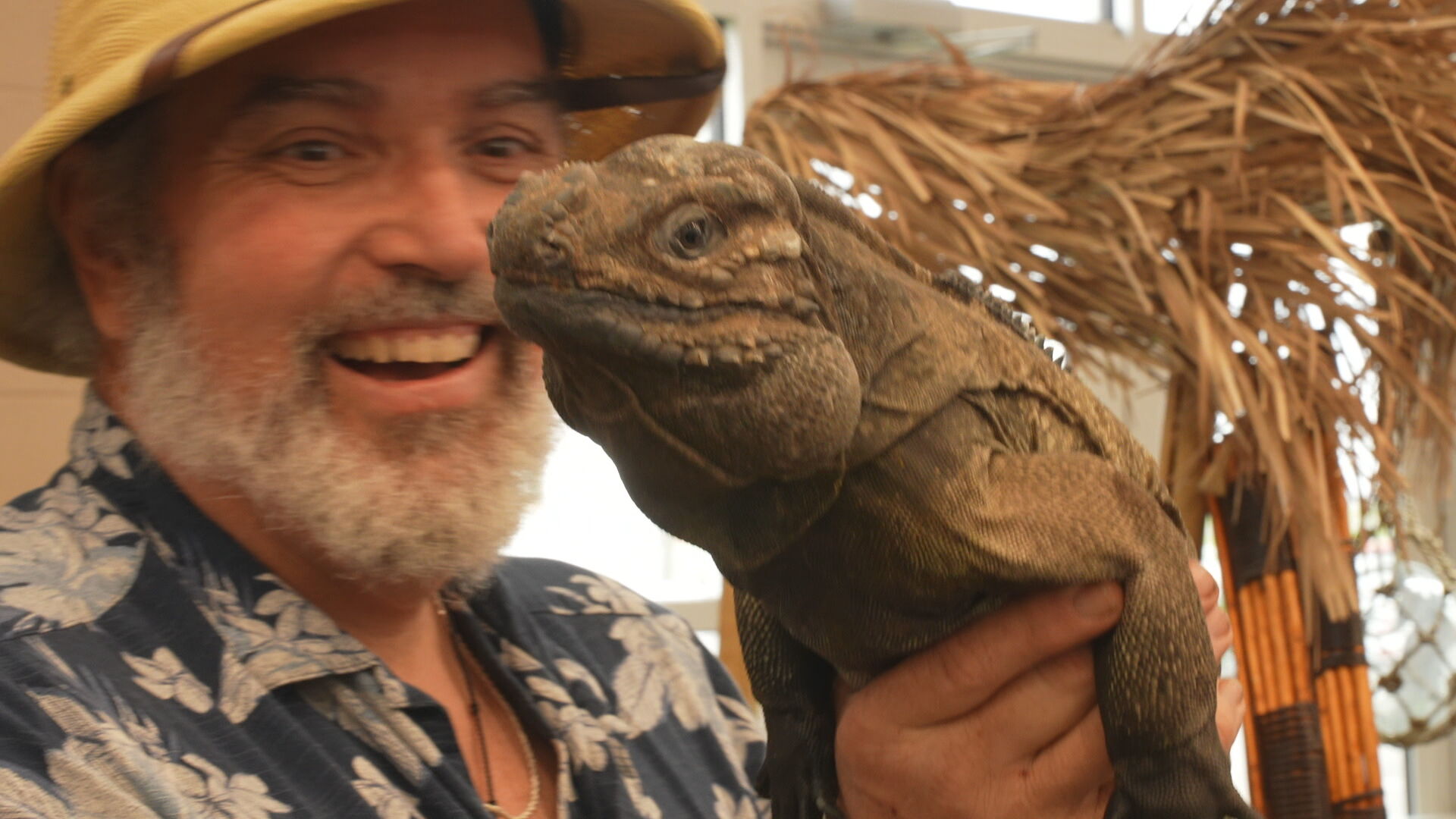 10p Kim ShowMeReptiles in Lebanon - PKG.transfer_frame_1381.jpeg