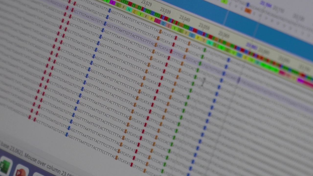 Genomic Sequencing