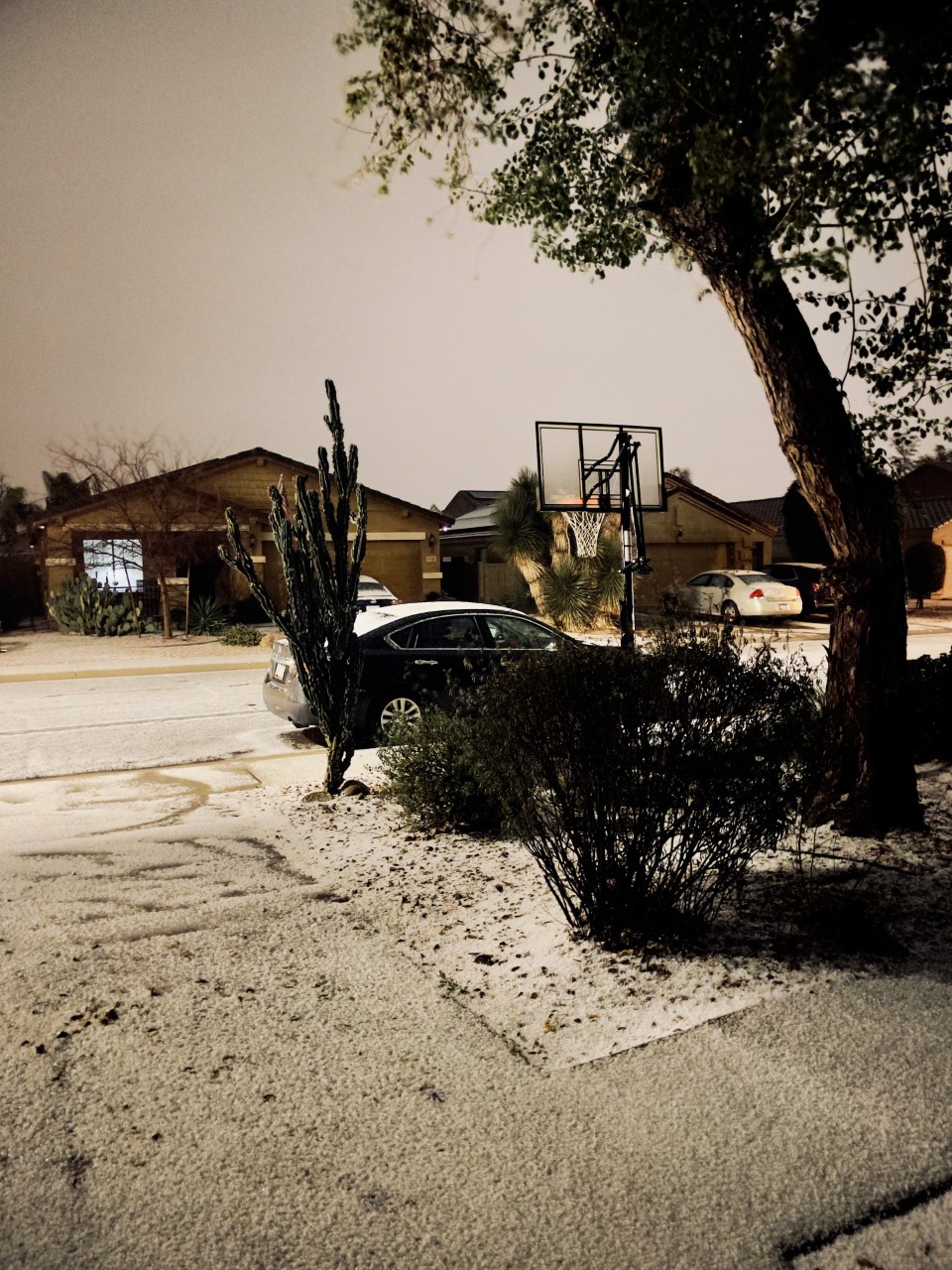 Nikki Lee Surprise.jpg