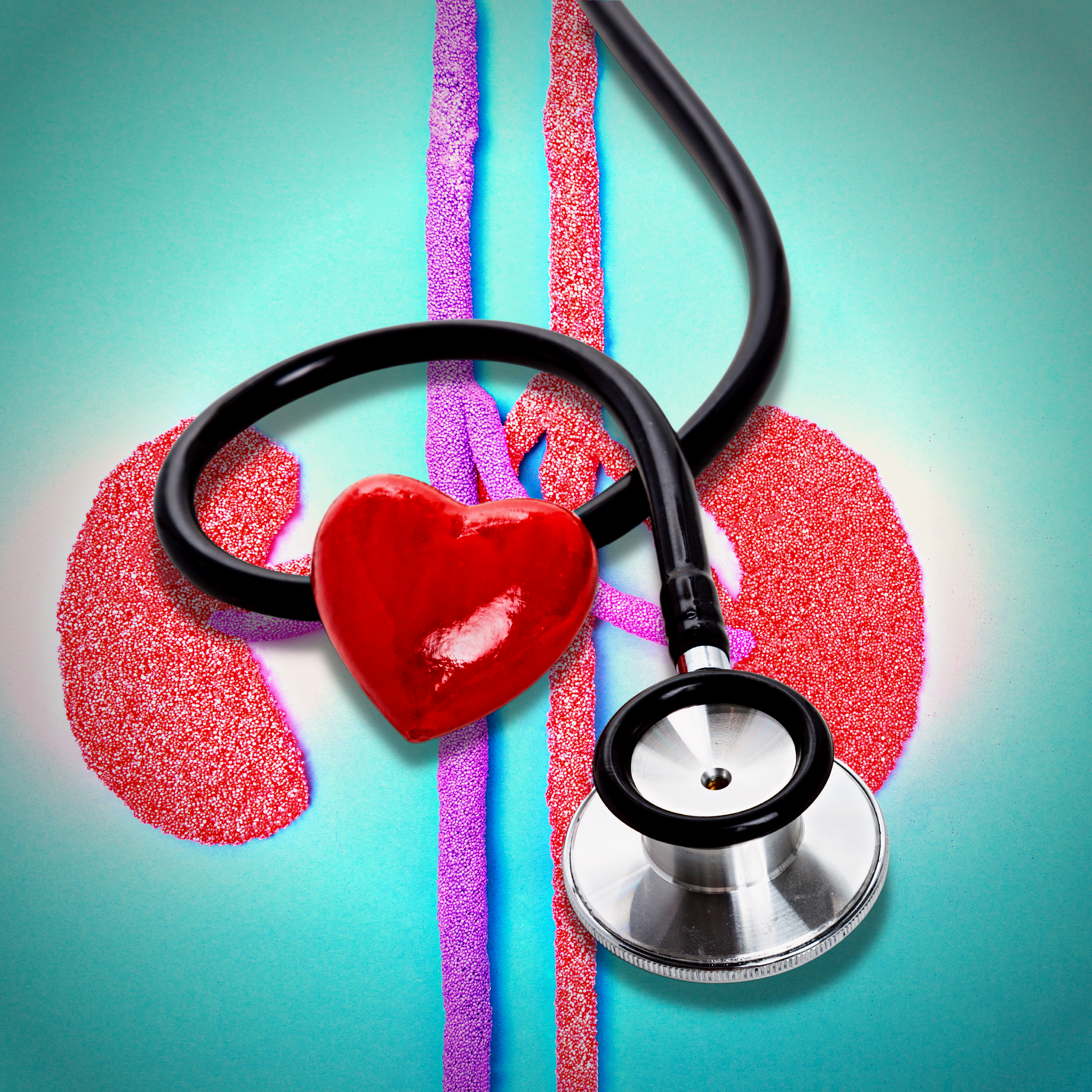 High Blood Pressure and Kidney Disease, High Blood Pressure, Kidney Disease, heart health, HBP, kidney, Heart, Kidney Health