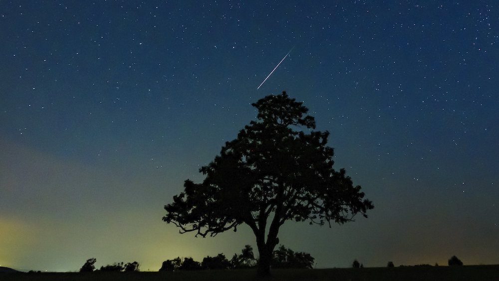 Two meteor showers to peak next week, meaning night sky could be full of activity