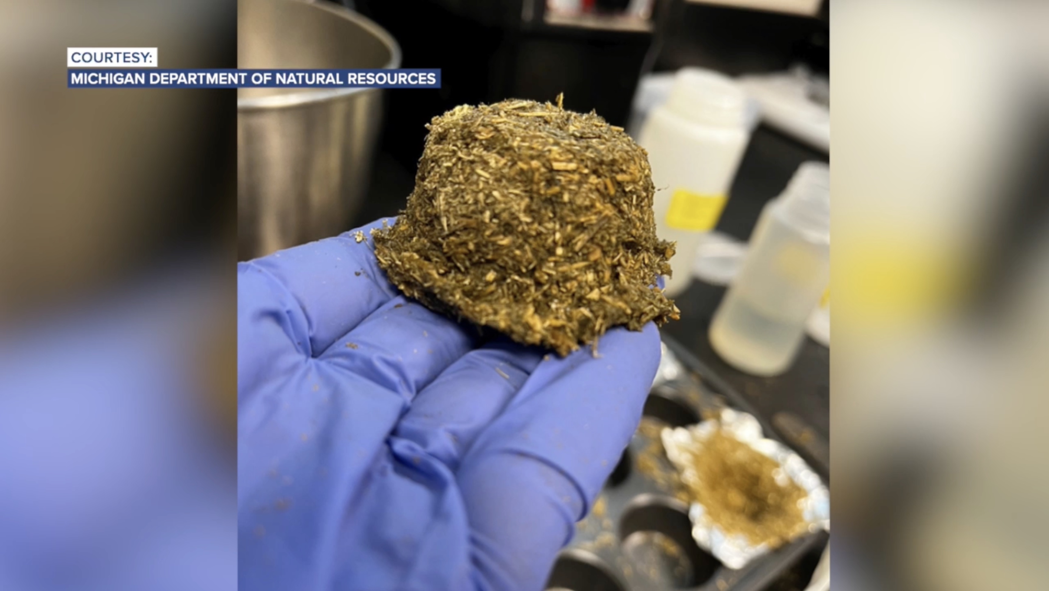 bTB Vaccine Delivery Unity 