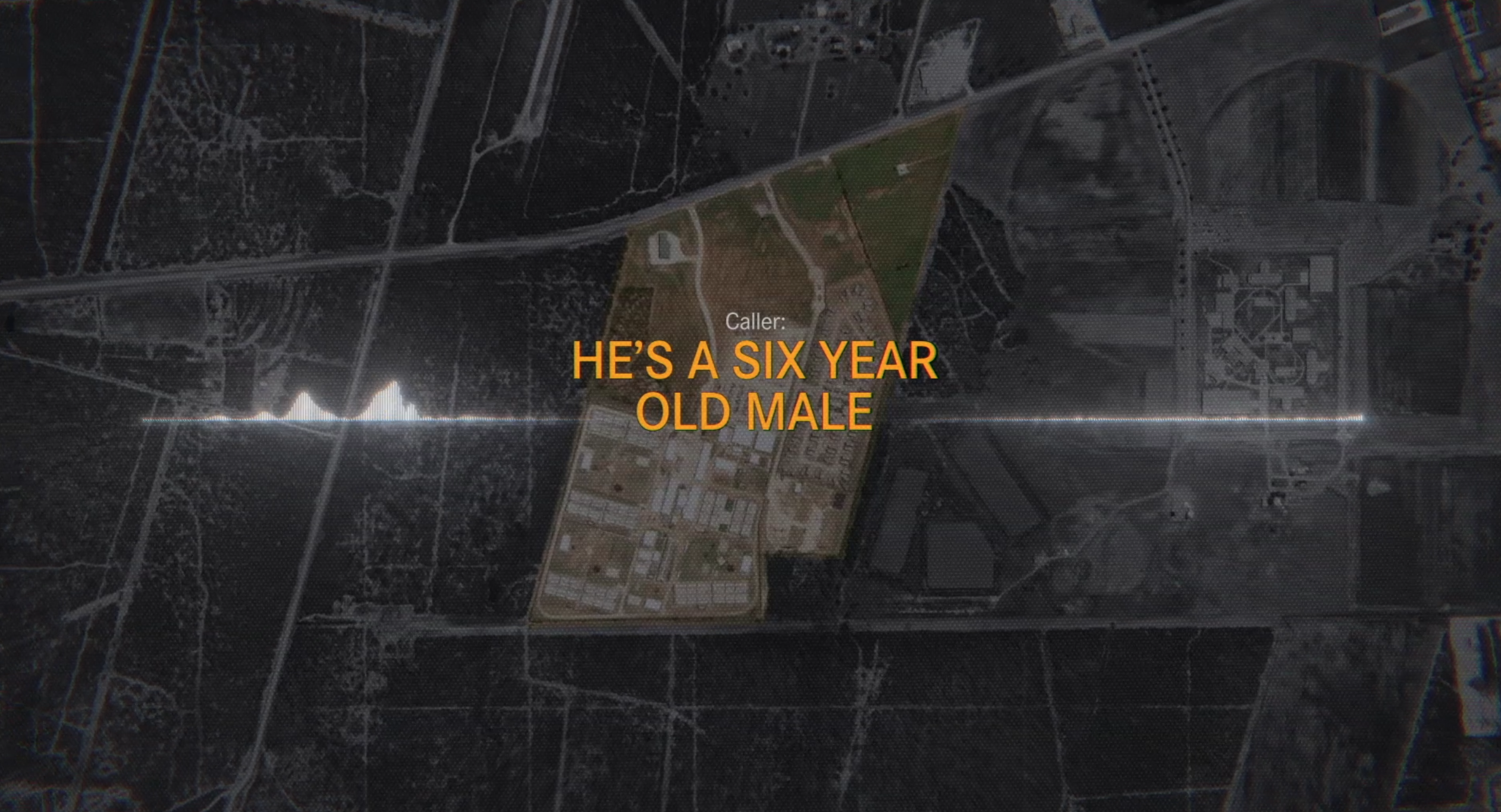 Immigration detention 911 records