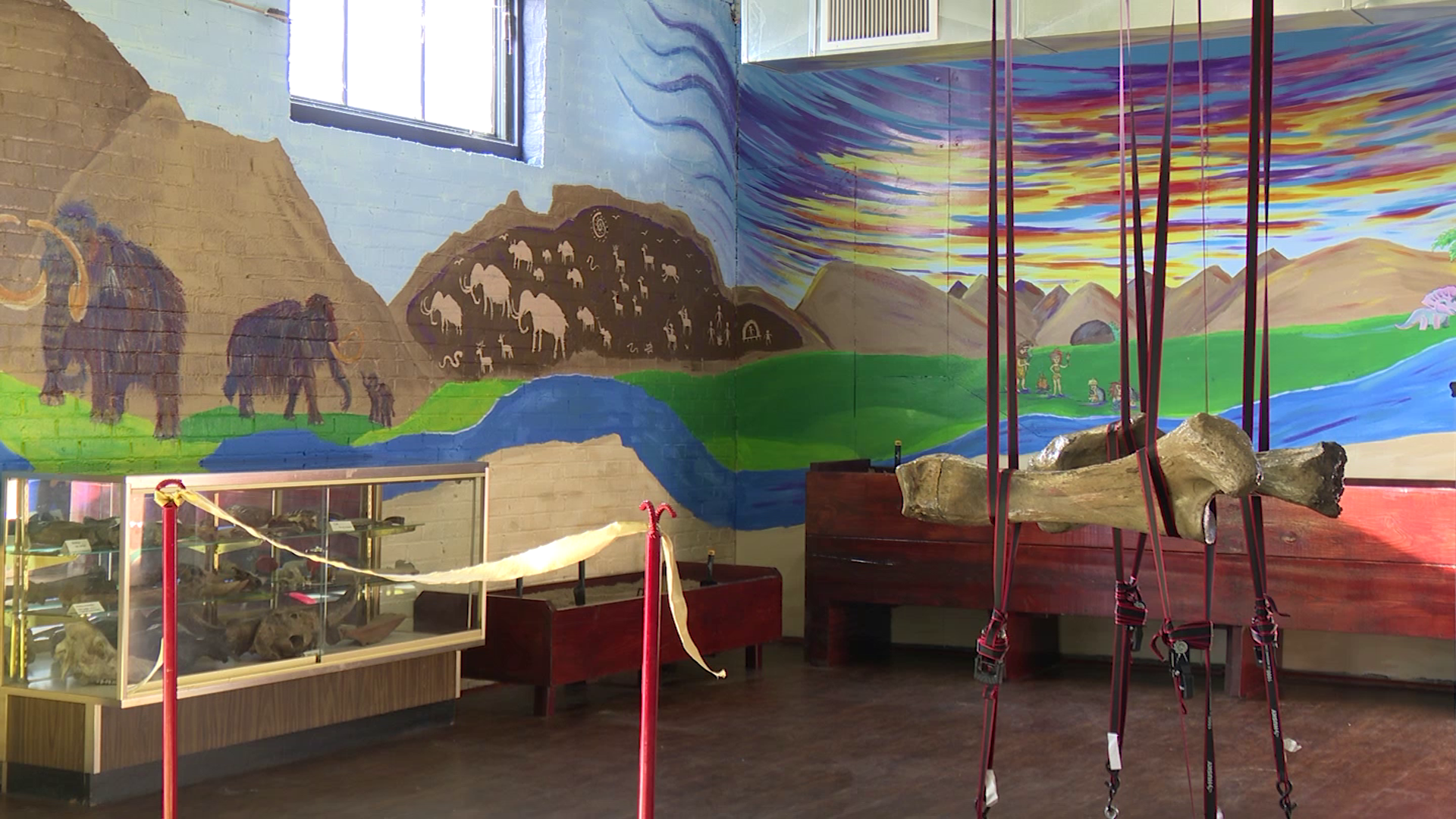  "Bone dig” exhibit opens at Children's Museum of Montana