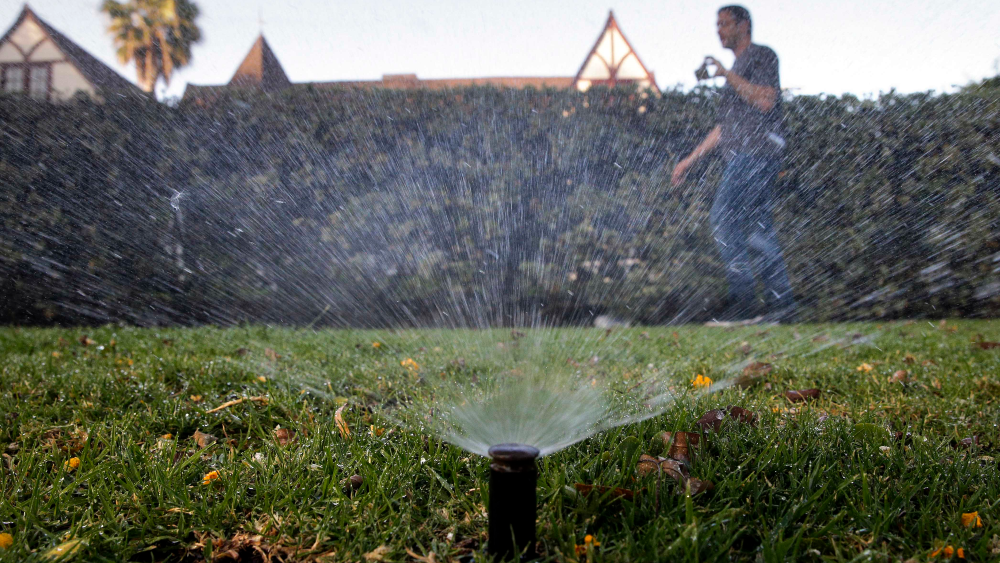 water sprinkler