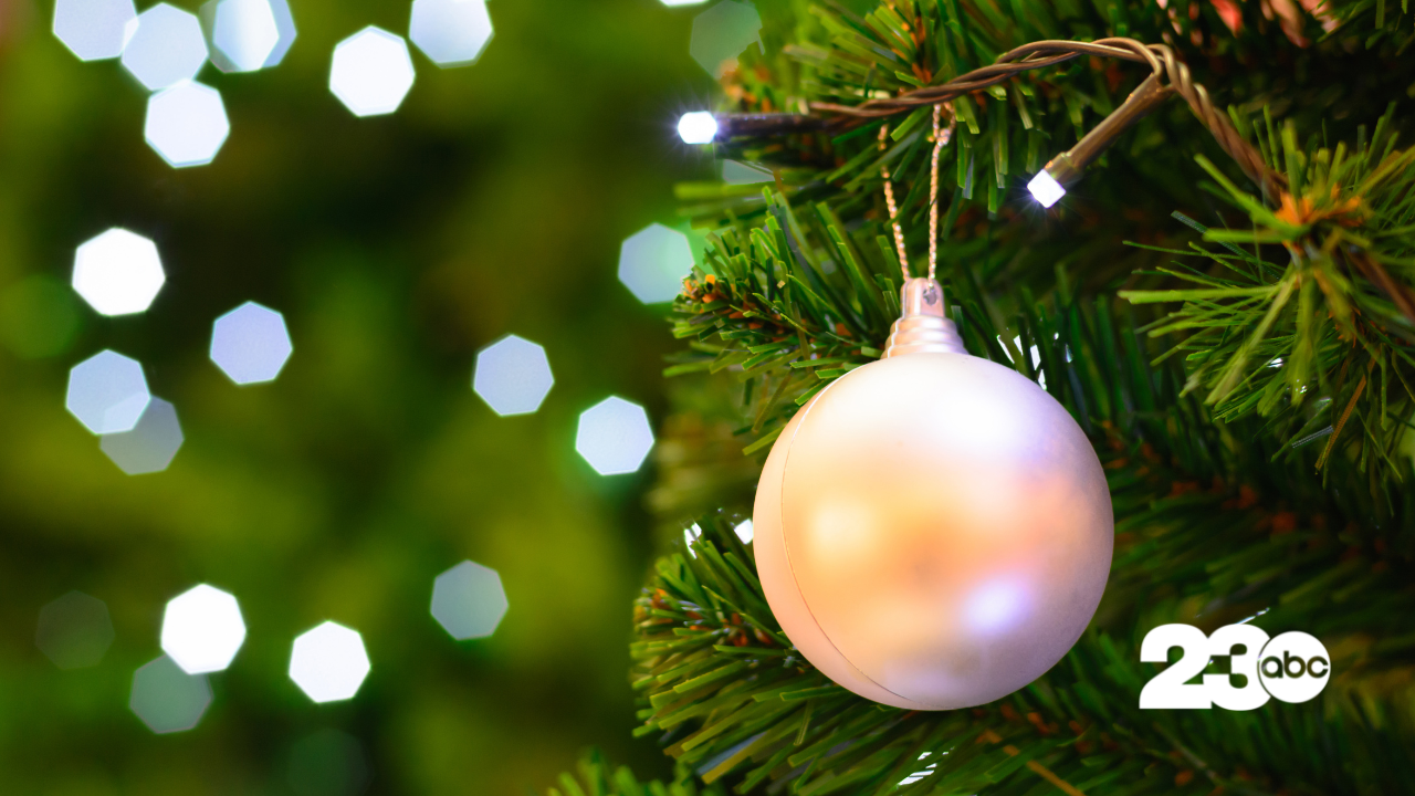 Christmas Tree (FILE)