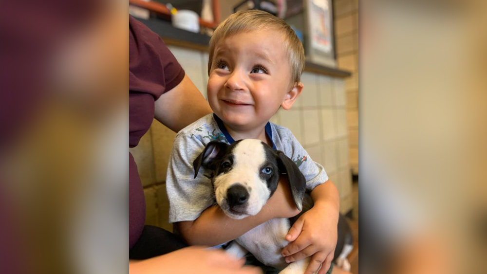Bentley and puppy.jpg