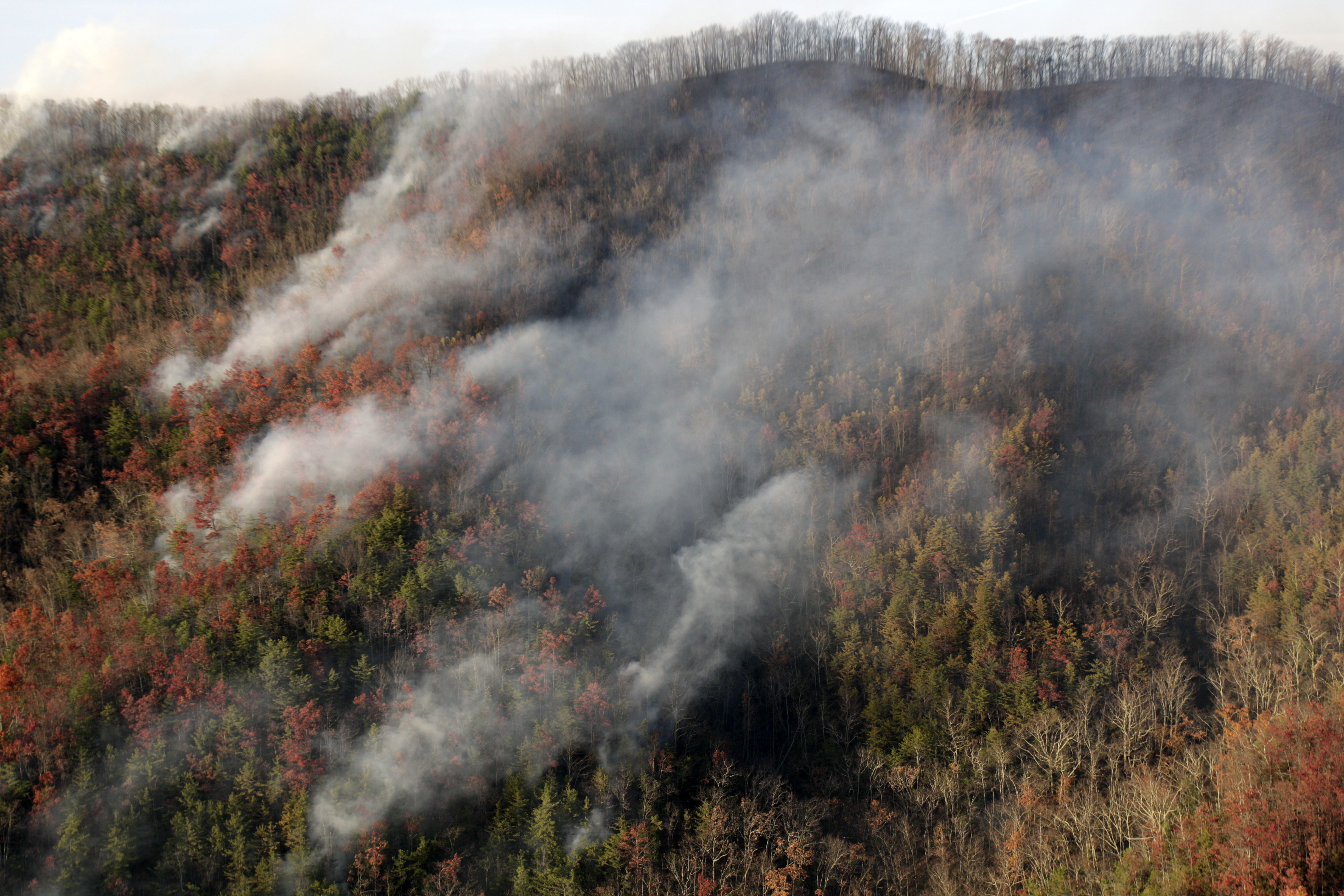 Southern Wildfires Tennessee