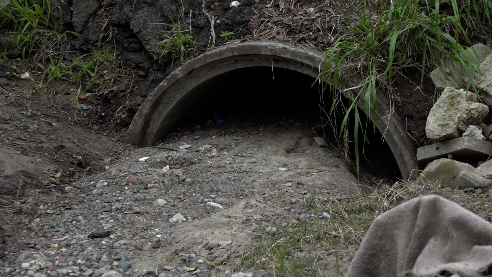 Storm drain sits mostly clogged in an Encanto backyard.