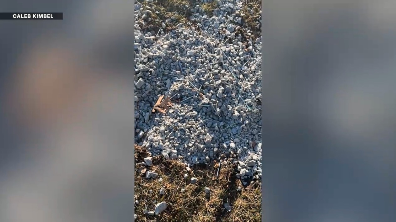 Screenshot 2026-03-09 at 6.13.37 PM.jpg