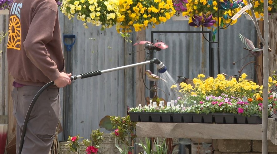 Screenshot 2025-04-18 131049.jpg