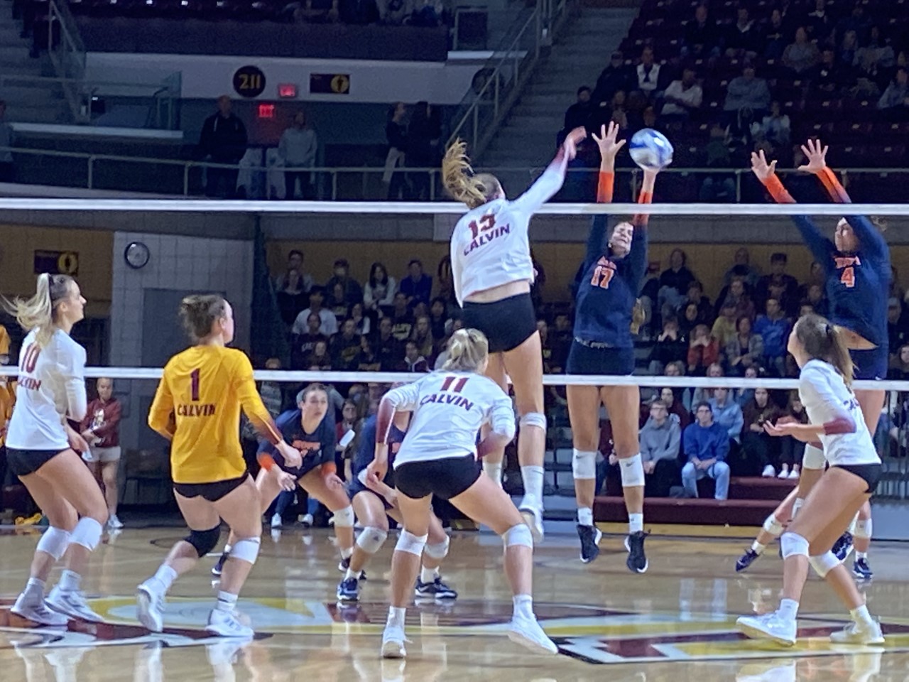 Calvin Hope volleyball