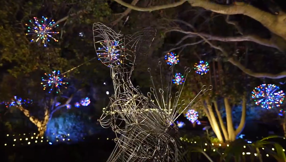 SLO BOTANICAL GARDEN NATURE NIGHTS.png