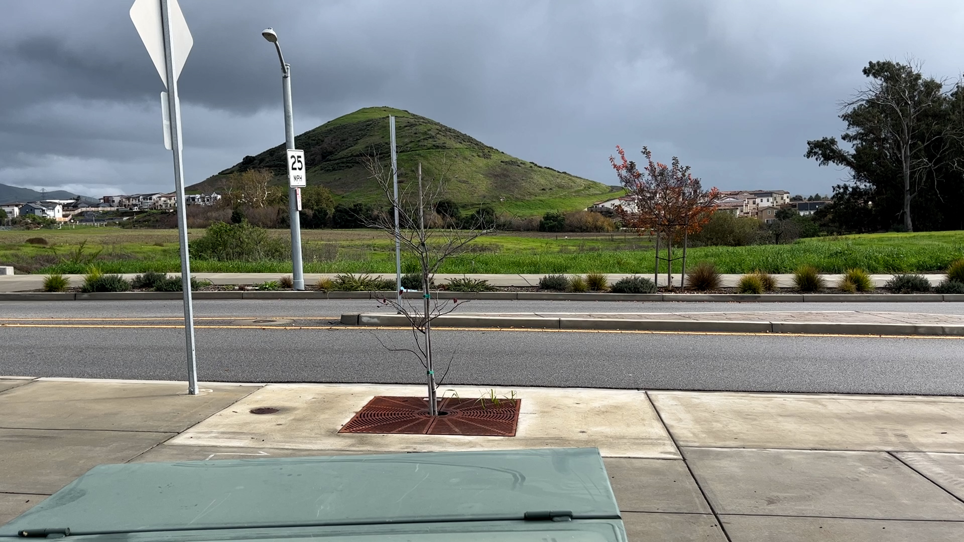 RIGHETTI PARK.jpg