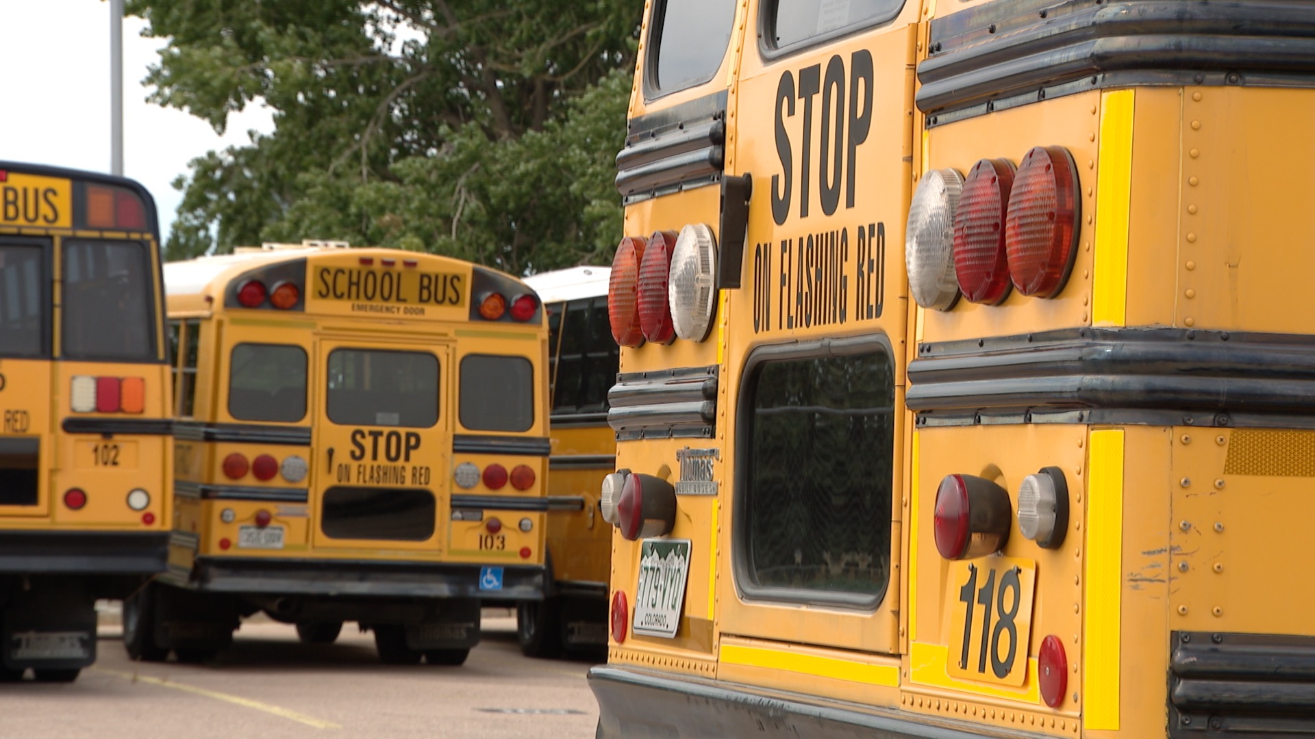 D3 BUS 1.jpg