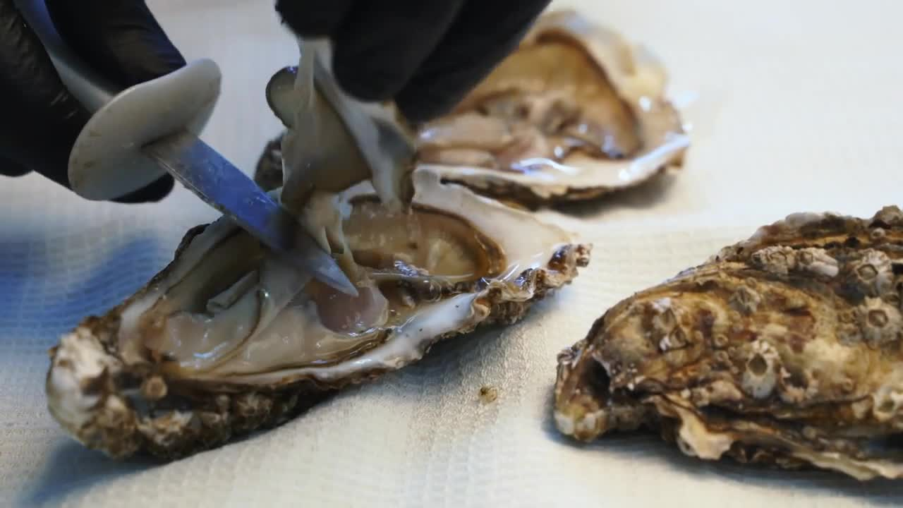 Discover seafood indulgences in Urbanna, VA