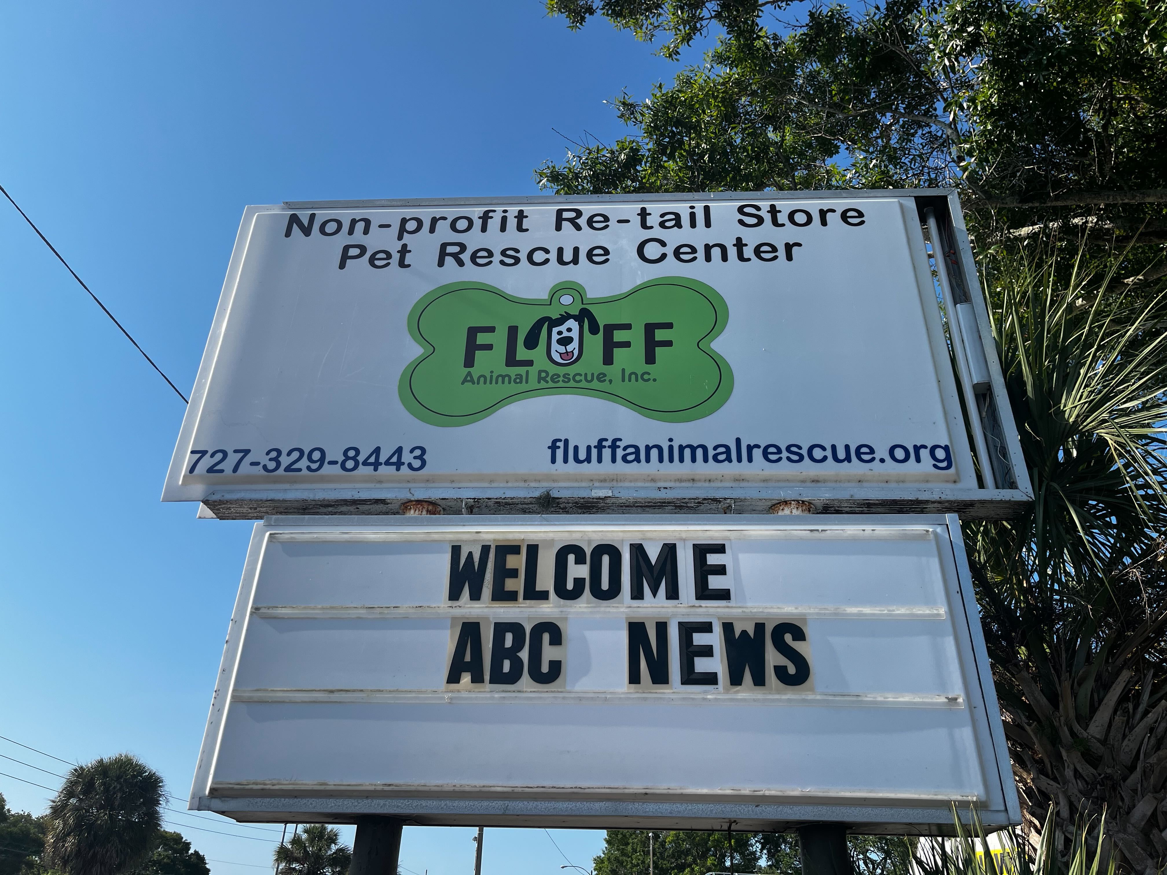 Fluff Animal Rescue