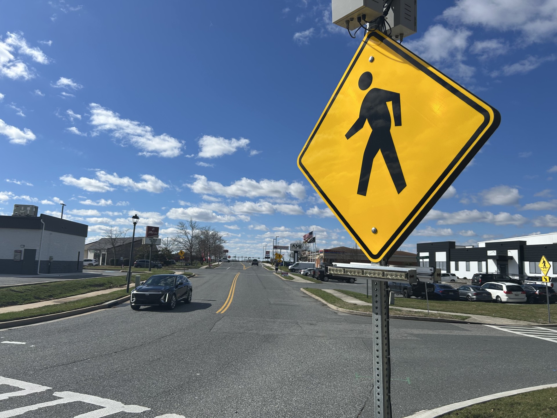 Pedestrian struck and killed 