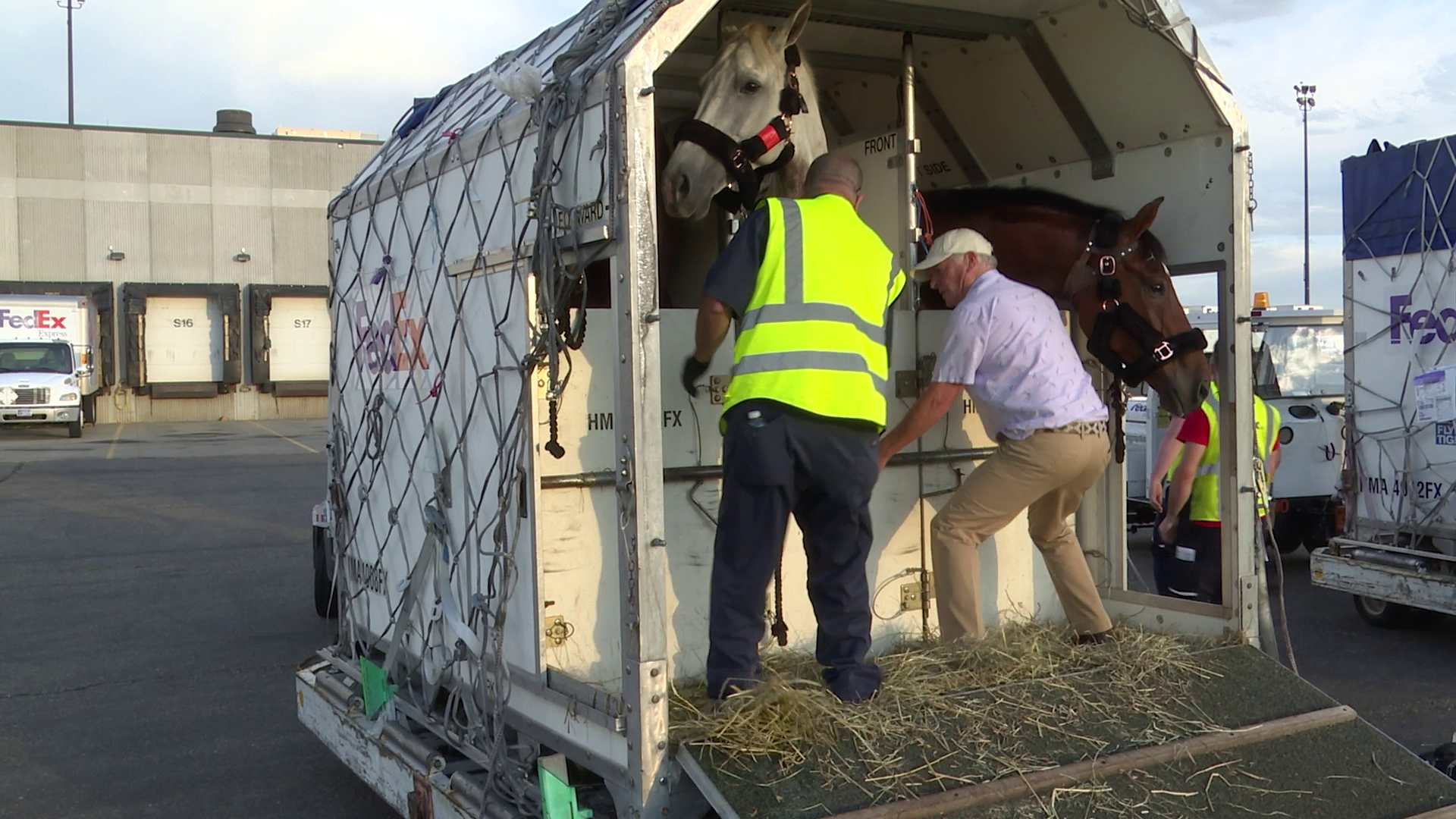 "Flying horses" land in Great Falls
