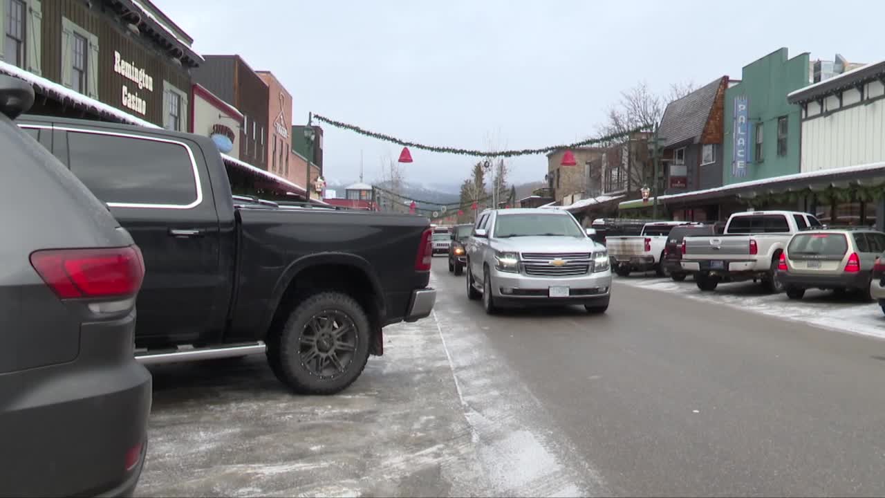 busy whitefish