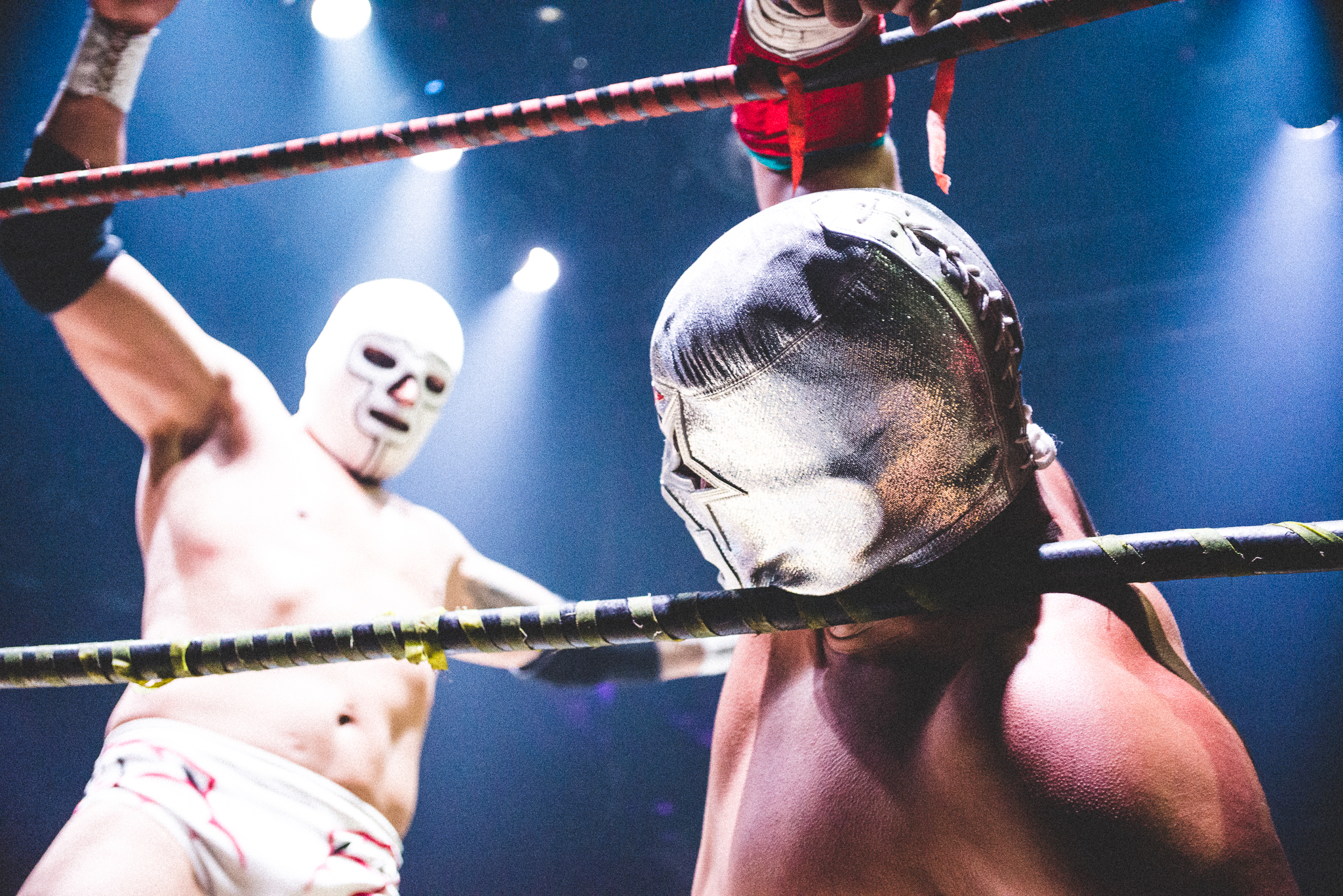 Credit Hon Hoang.jpg