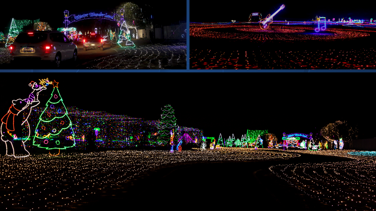California Living Museum's HolidayLights