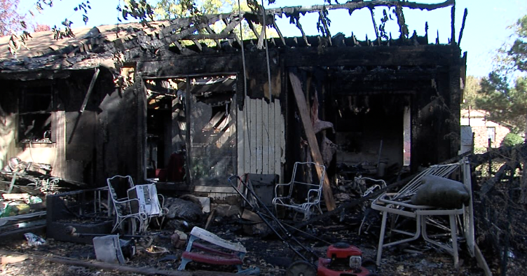 Screenshot 2024-11-20 at 1.47.05 PM.png