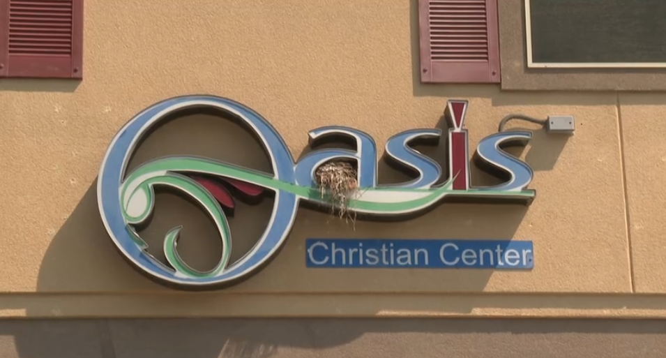 oasis fun day.png