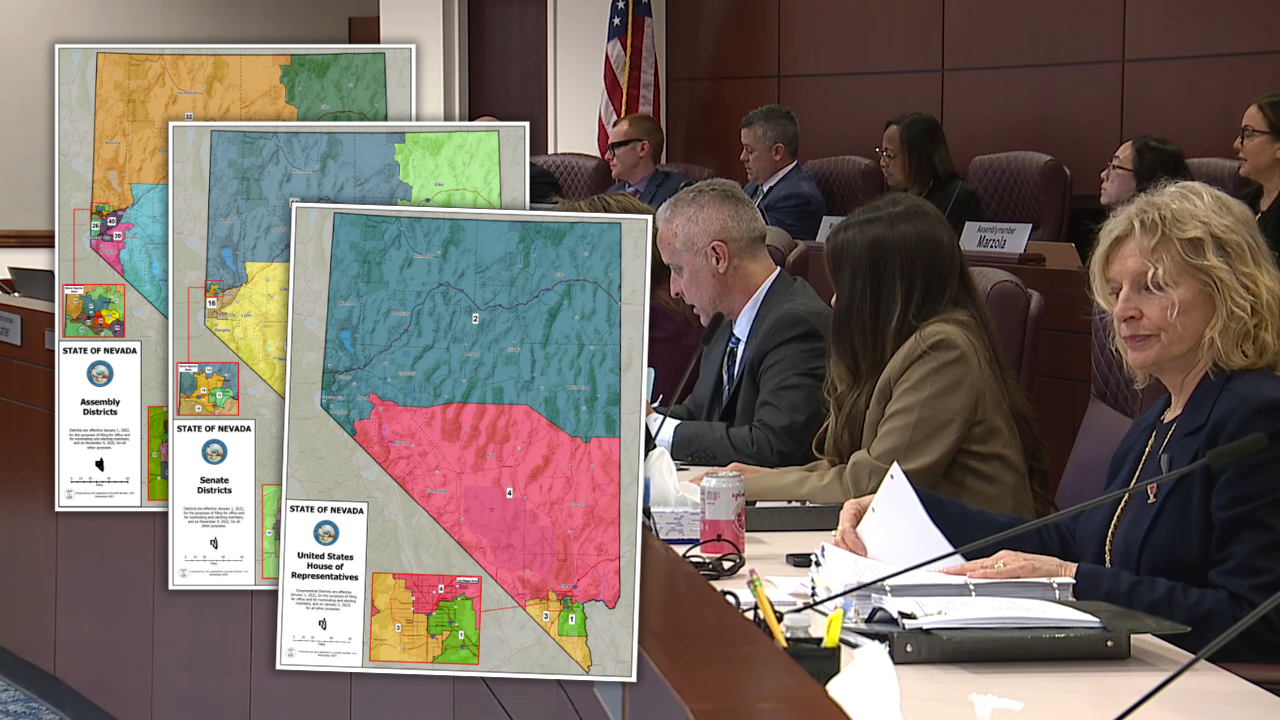 Nevada Redistricting